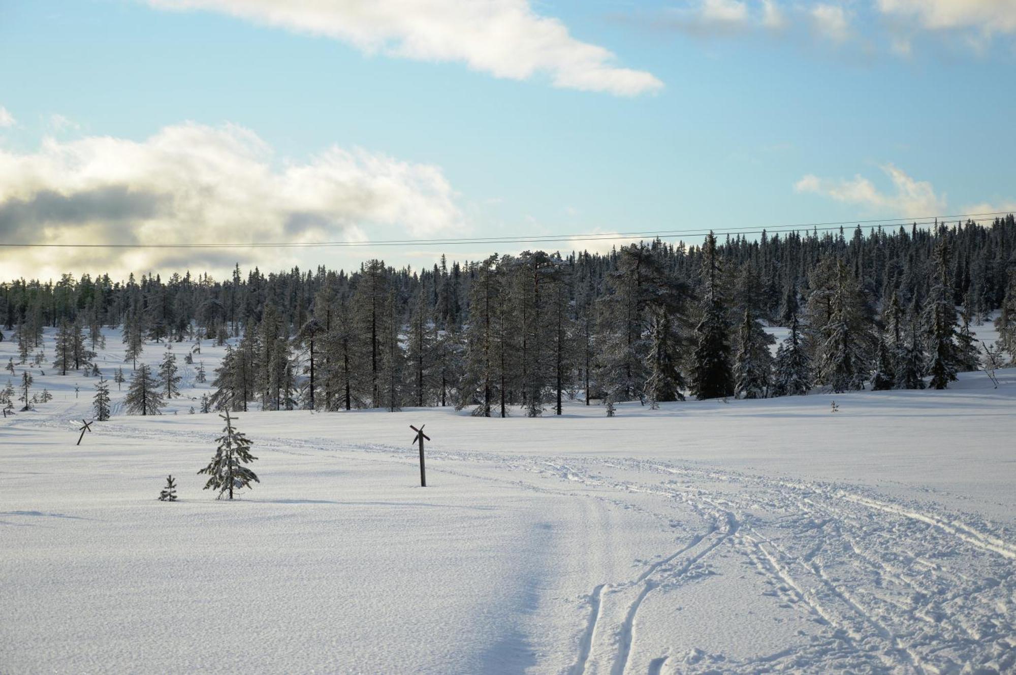 Hytte Anno 1721 Uten Internett, Strom, Vann - Men Med Rodmalt Utedo Ljørdal Zewnętrze zdjęcie