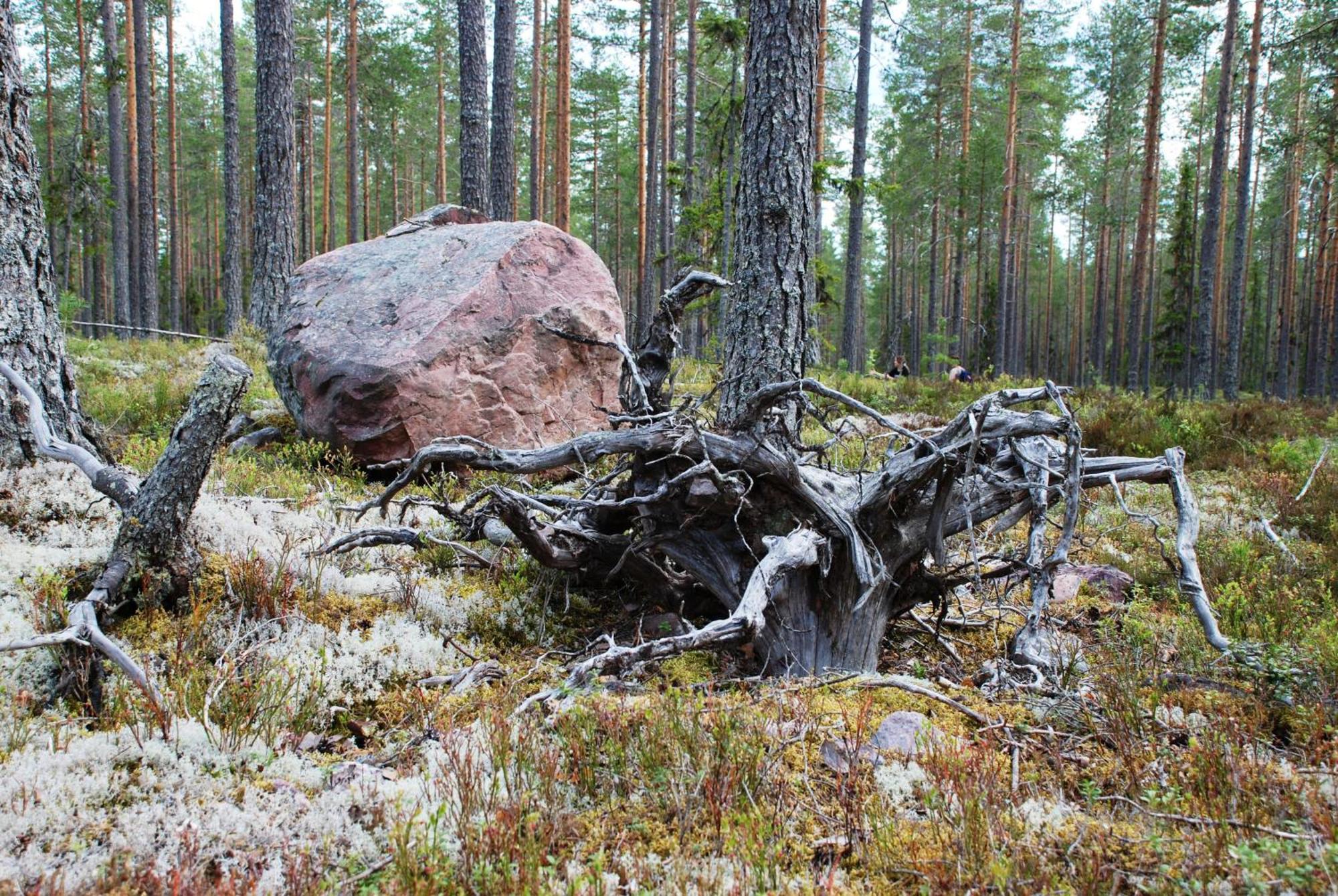 Hytte Anno 1721 Uten Internett, Strom, Vann - Men Med Rodmalt Utedo Ljørdal Zewnętrze zdjęcie