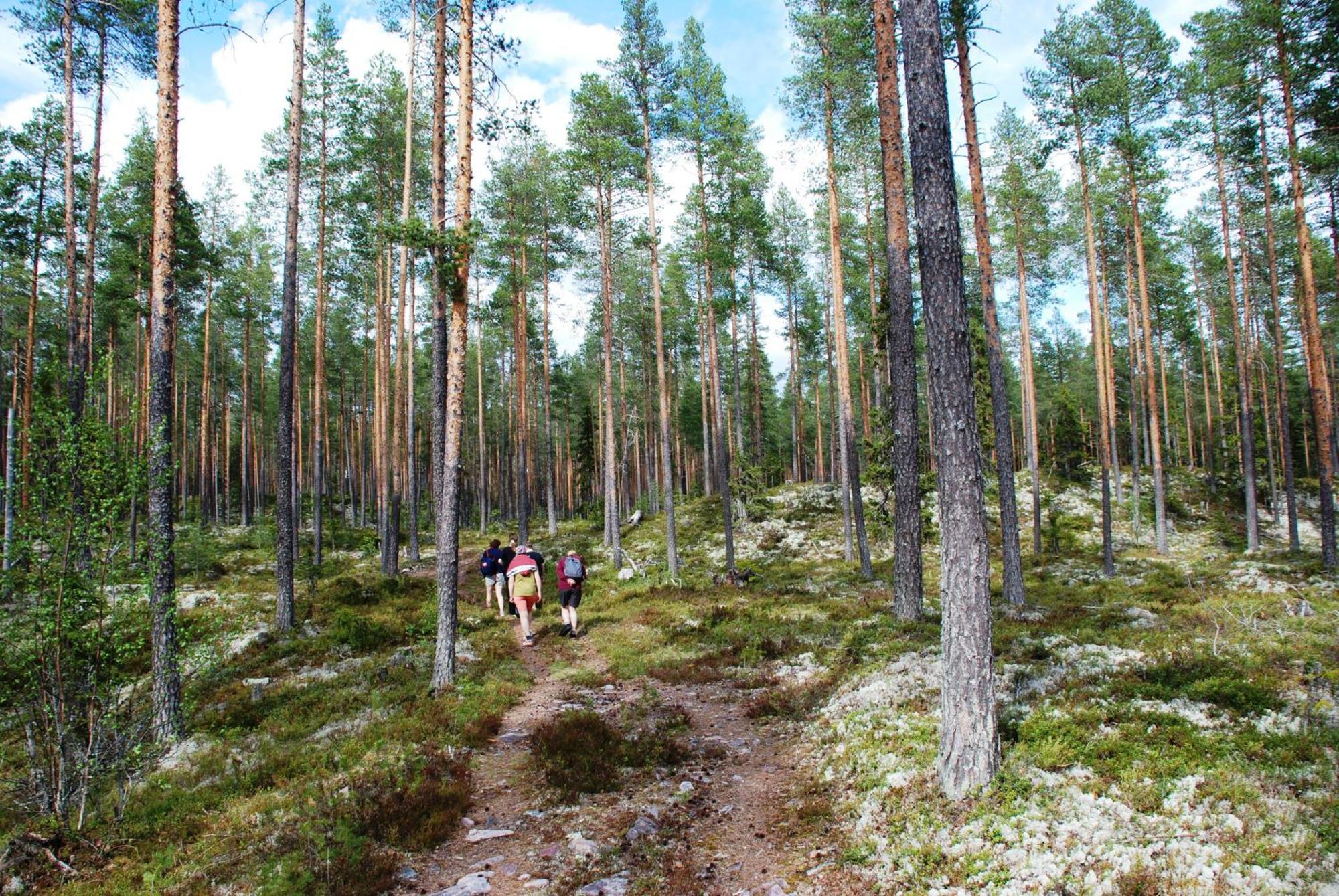 Hytte Anno 1721 Uten Internett, Strom, Vann - Men Med Rodmalt Utedo Ljørdal Zewnętrze zdjęcie