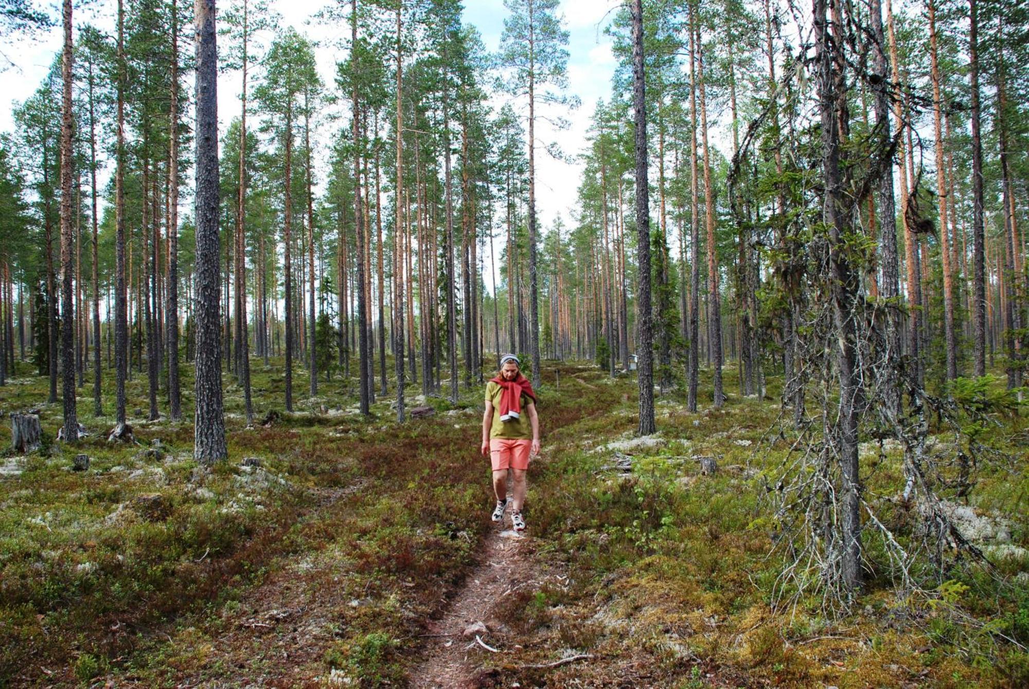 Hytte Anno 1721 Uten Internett, Strom, Vann - Men Med Rodmalt Utedo Ljørdal Zewnętrze zdjęcie