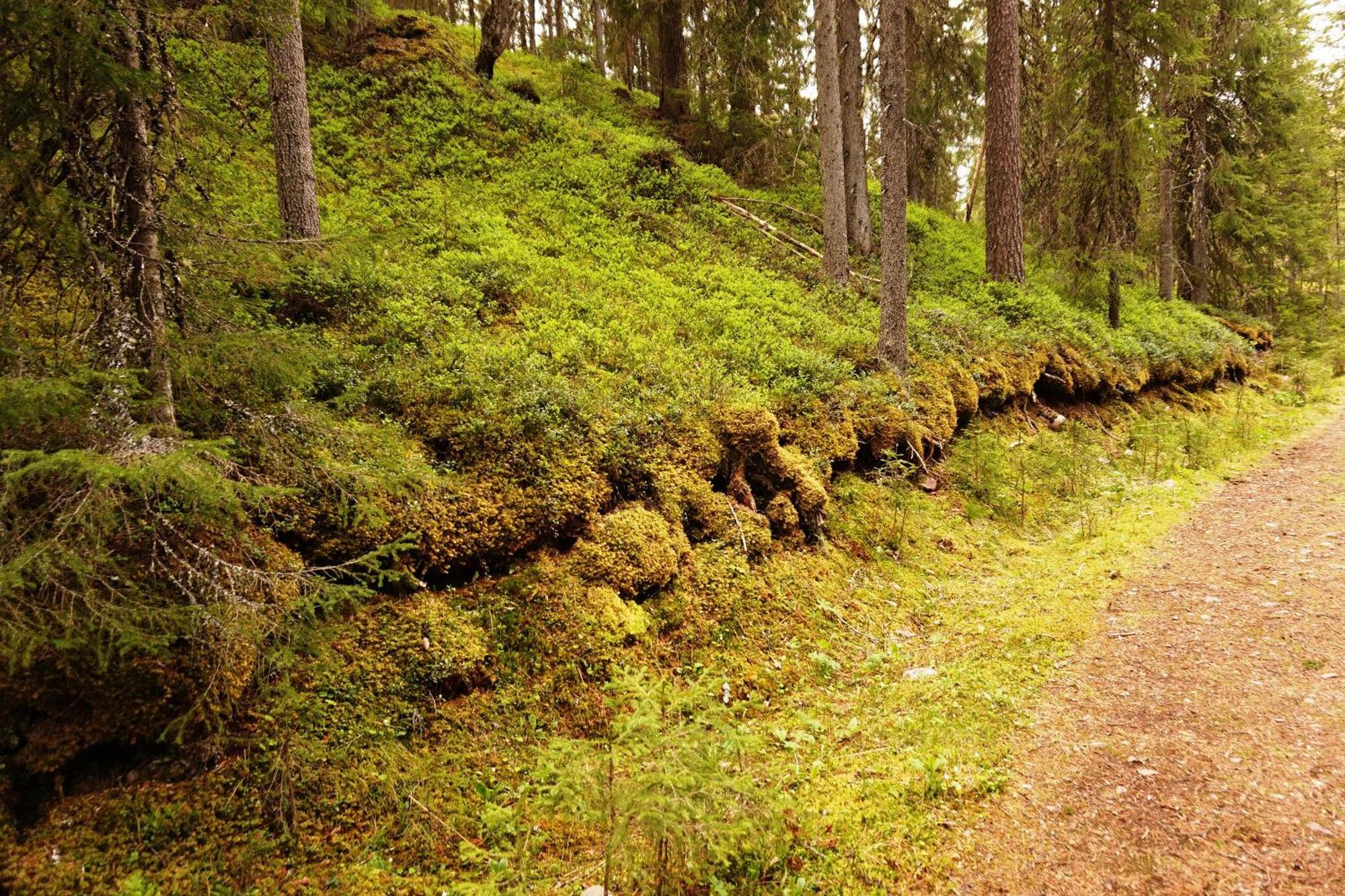 Hytte Anno 1721 Uten Internett, Strom, Vann - Men Med Rodmalt Utedo Ljørdal Zewnętrze zdjęcie